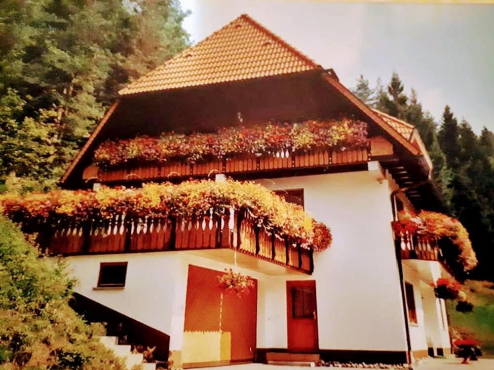 Ferienwohungen Im Kuchersbach هورنبرغ المظهر الخارجي الصورة